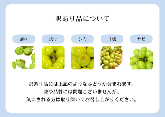 訳あり商品について