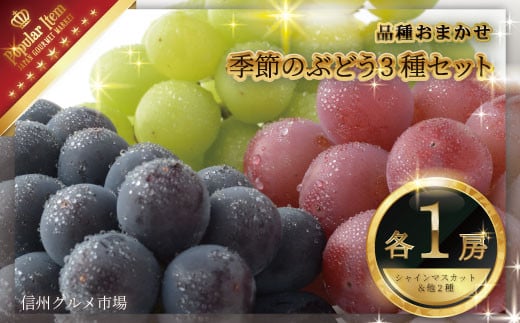 ふるさと納税にて島軒果樹園のぶどうが購入できるようになりました。