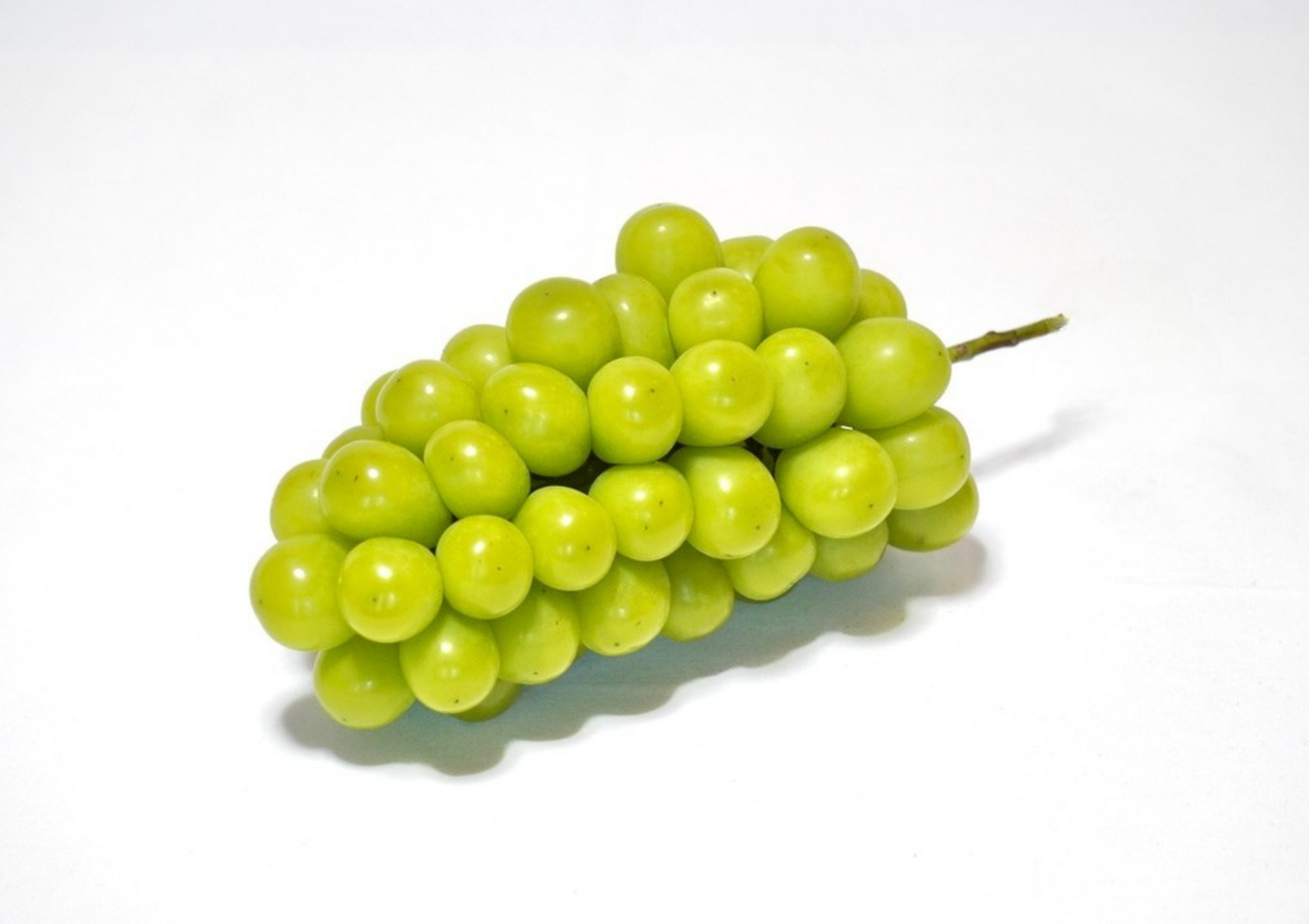 マスカサーティーン 1房 約700g以上以上 – 島軒果樹園