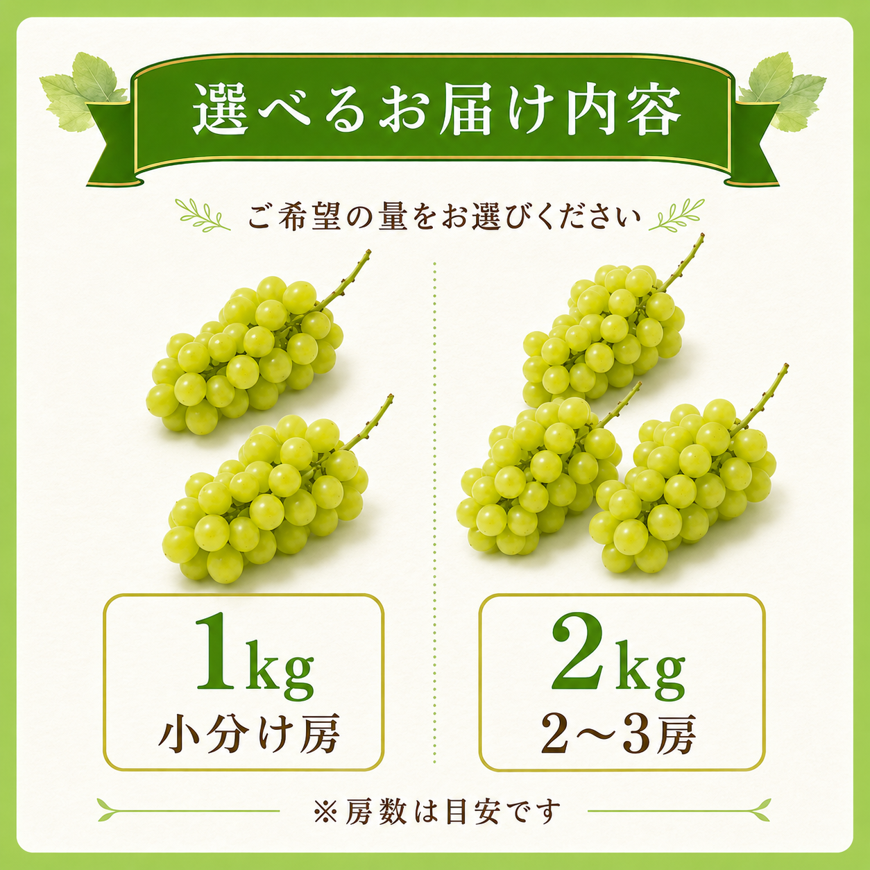 令和8年産 訳あり シャインマスカット 選べる 内容量 1kg 2kg 訳アリ わけあり マスカット ぶどう 葡萄 白ぶどう 白系 山形県産 2026年産 山形県 米沢市